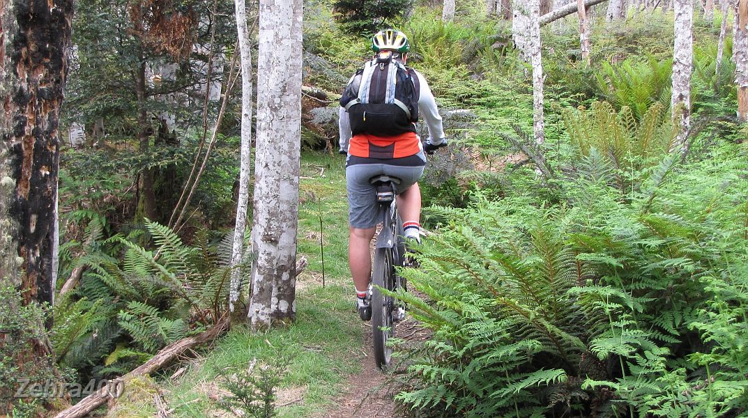 27-More great MTBing.JPG